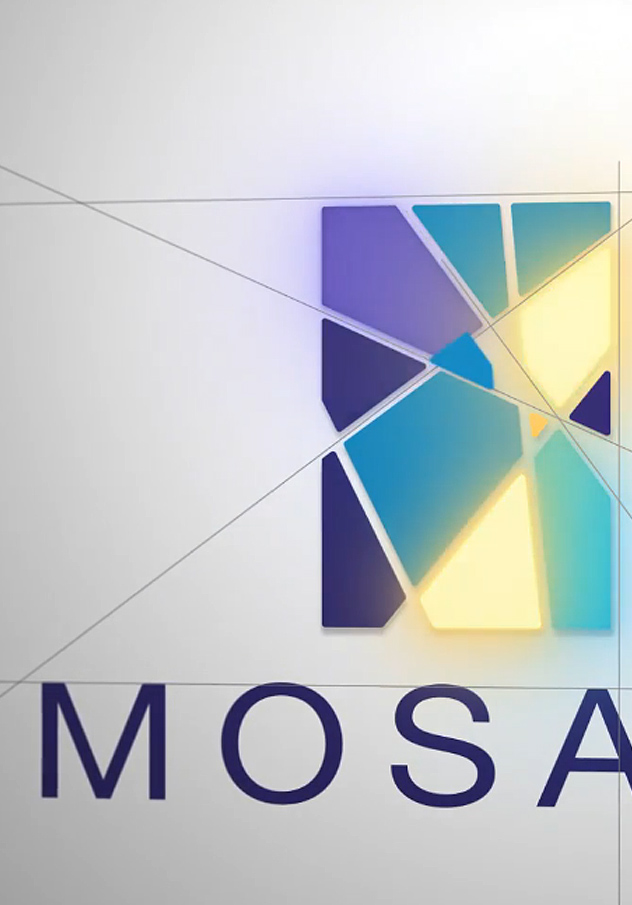 Mosaic Properties Logo Reveal